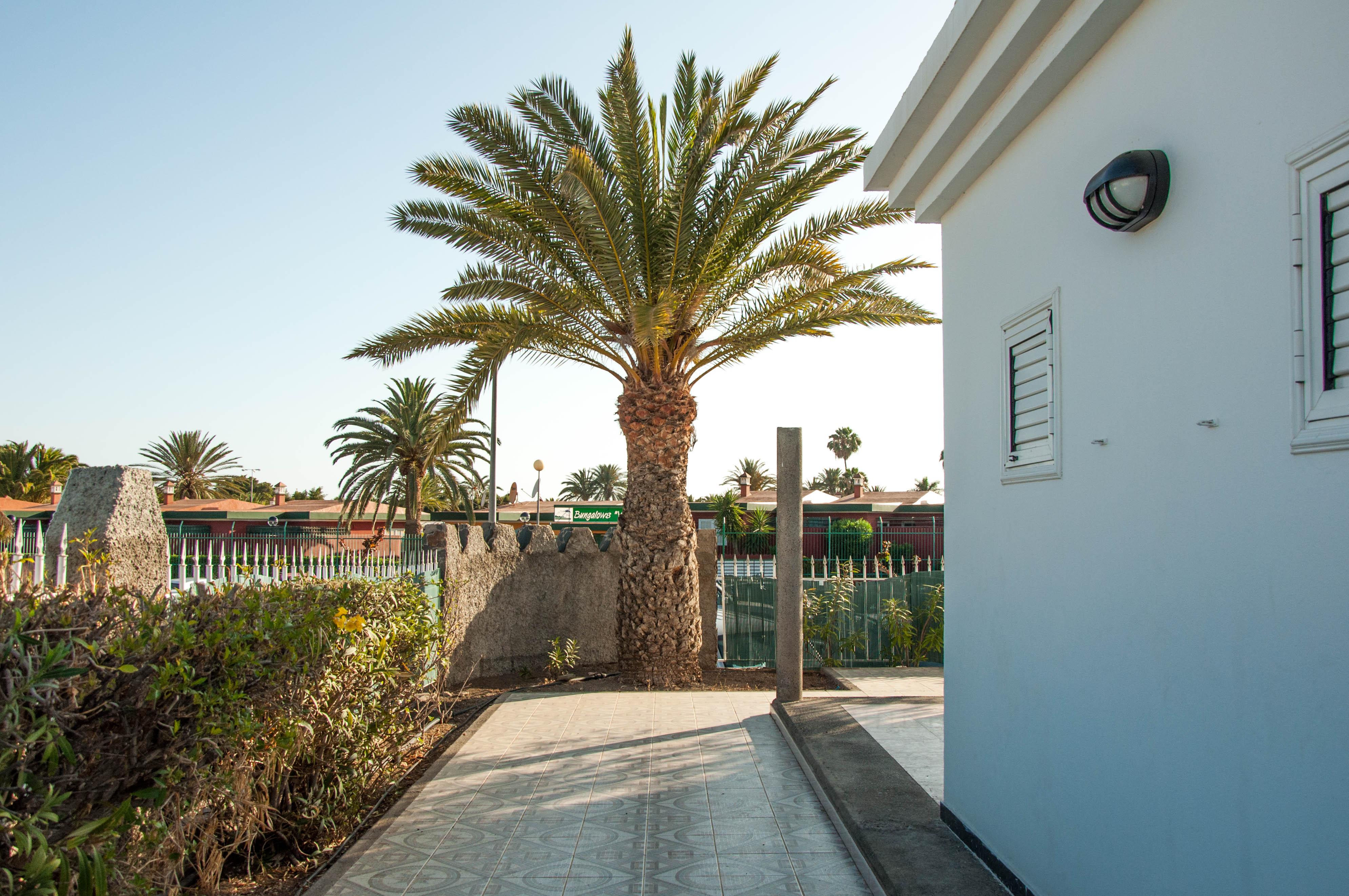 Bungalows Las Almenas Maspalomas  Buitenkant foto
