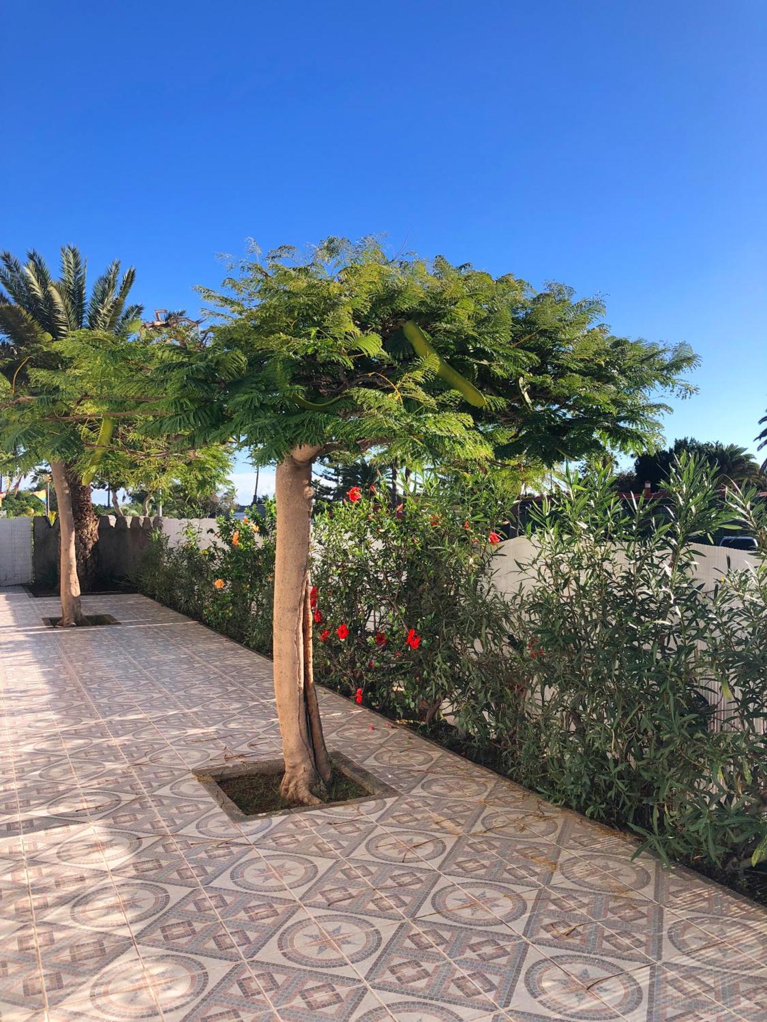 Bungalows Las Almenas Maspalomas  Buitenkant foto