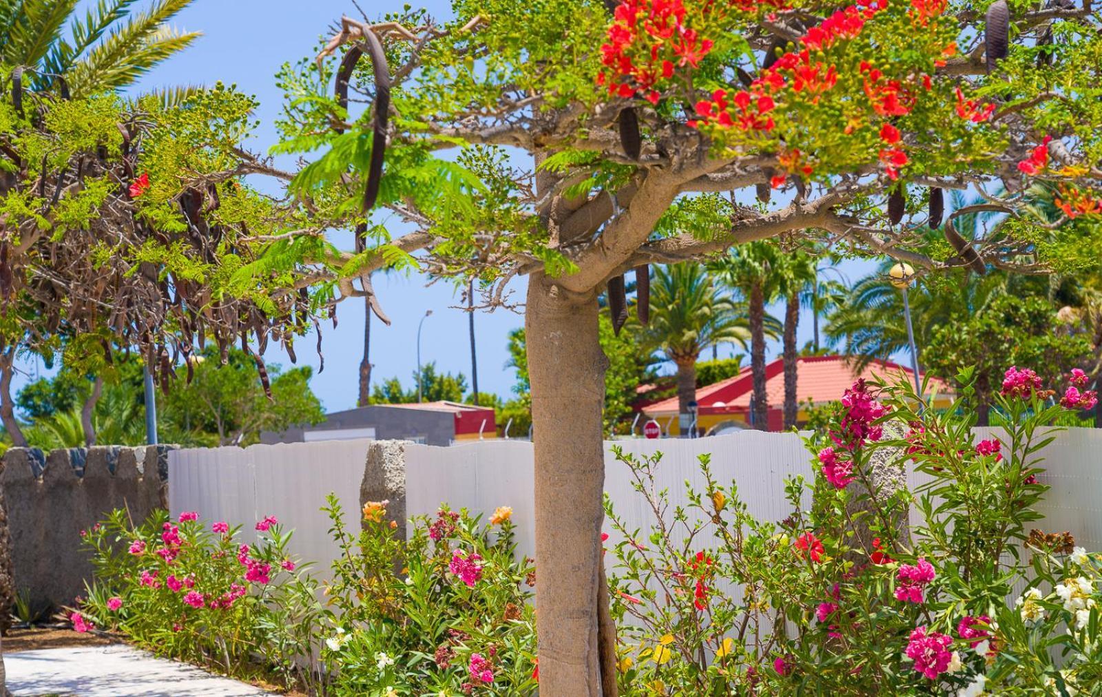 Bungalows Las Almenas Maspalomas  Buitenkant foto